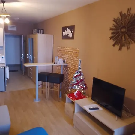 Stylish Studio's Aspen Valley 아파트