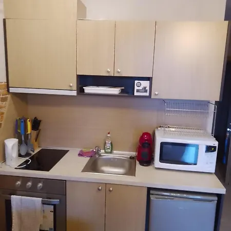 Apartment Stylish Studio's Aspen Valley Raslog